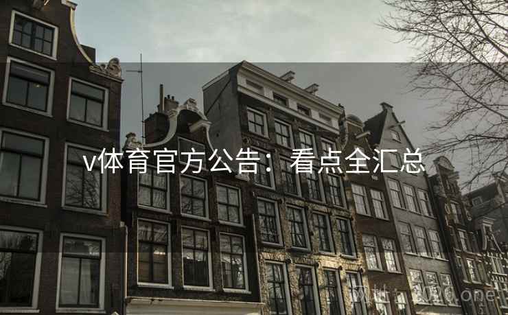 v体育官方公告:看点全汇总 第2张 v体育官方公告:看点全汇总 第2张
