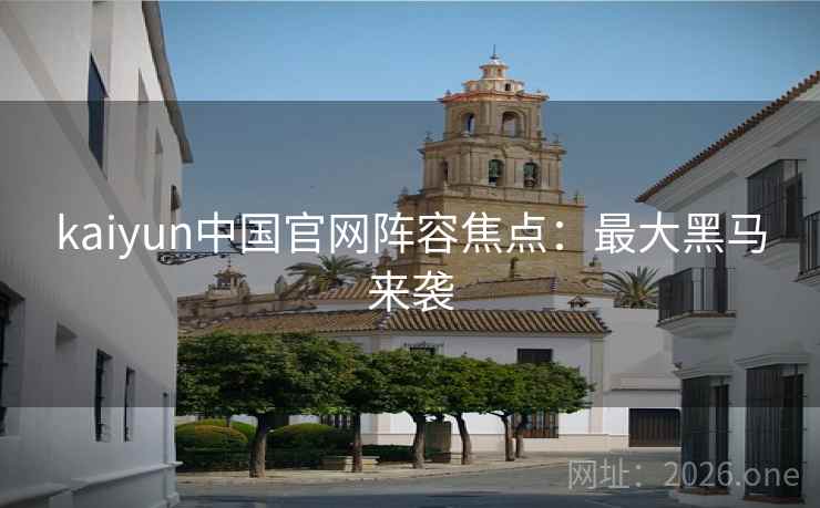 kaiyun中国官网阵容焦点：最大黑马来袭