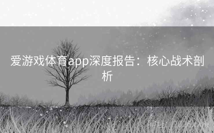爱游戏体育app深度报告:核心战术剖析 第2张 爱游戏体育app深度报告:核心战术剖析 第2张