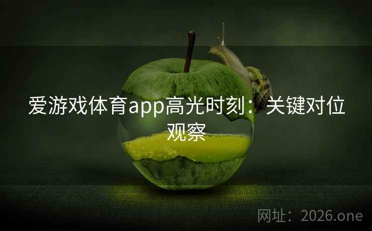 爱游戏体育app高光时刻:关键对位观察 第2张 爱游戏体育app高光时刻:关键对位观察 第2张