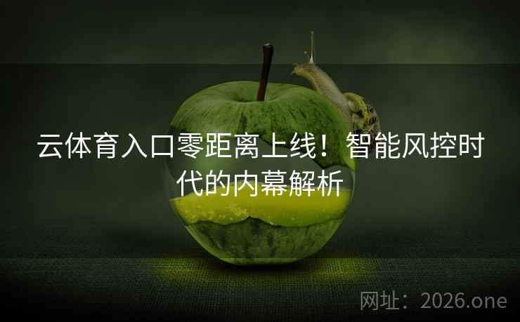 云体育入口零距离上线!智能风控时代的内幕解析 第2张 云体育入口零距离上线!智能风控时代的内幕解析 第2张