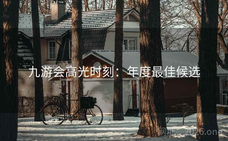 九游会高光时刻:年度最佳候选 第1张 九游会高光时刻:年度最佳候选 第1张