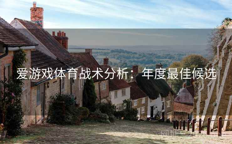 爱游戏体育战术分析：年度最佳候选