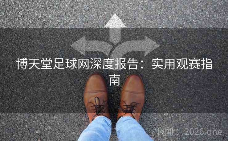 博天堂足球网深度报告：实用观赛指南